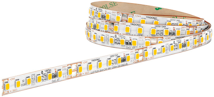 Module LLE FLEX 8mm 24V SNC4